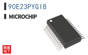 90E23PYGI8