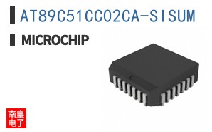 AT89C51CC02CA-SISUM
