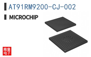 AT91RM9200-CJ-002
