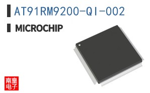 AT91RM9200-QI-002