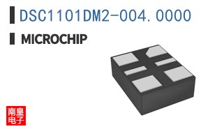 DSC1101DM2-004.0000