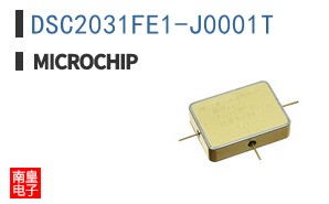 DSC2031FE1-J0001T