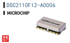 DSC2110FI2-A0006