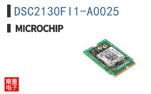 DSC2130FI1-A0025