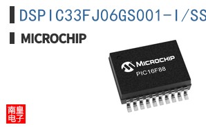 DSPIC33FJ06GS001-I/SS