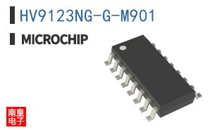HV9123NG-G-M901