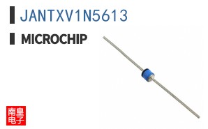 JANTXV1N5613