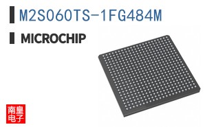 M2S060TS-1FG484M
