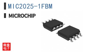 MIC2025-1FBM