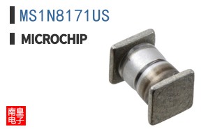 MS1N8171US
