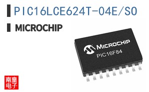 PIC16LCE624T-04E/SO