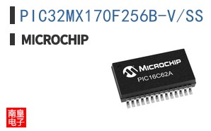 PIC32MX170F256B-V/SS