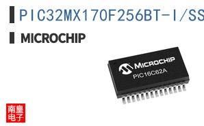 PIC32MX170F256BT-I/SS