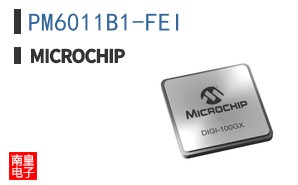 PM6011B1-FEI