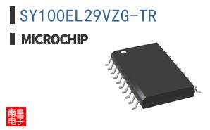 SY100EL29VZG-TR