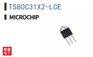 TS80C31X2-LCE