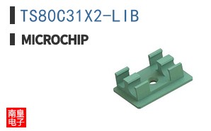 TS80C31X2-LIB