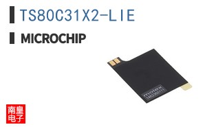 TS80C31X2-LIE