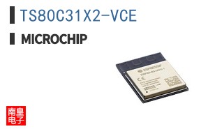 TS80C31X2-VCE