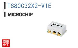 TS80C32X2-VIE